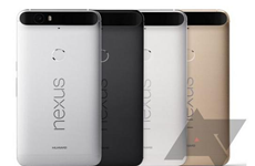 LG版Nexus新机售价曝光：约2420元/9月29日预售
