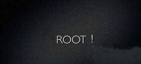 root权限